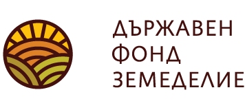 Logo DFZ BG RGB2